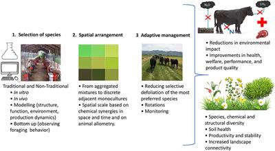 Designing Diverse Agricultural Pastures for Improving Ruminant Production Systems